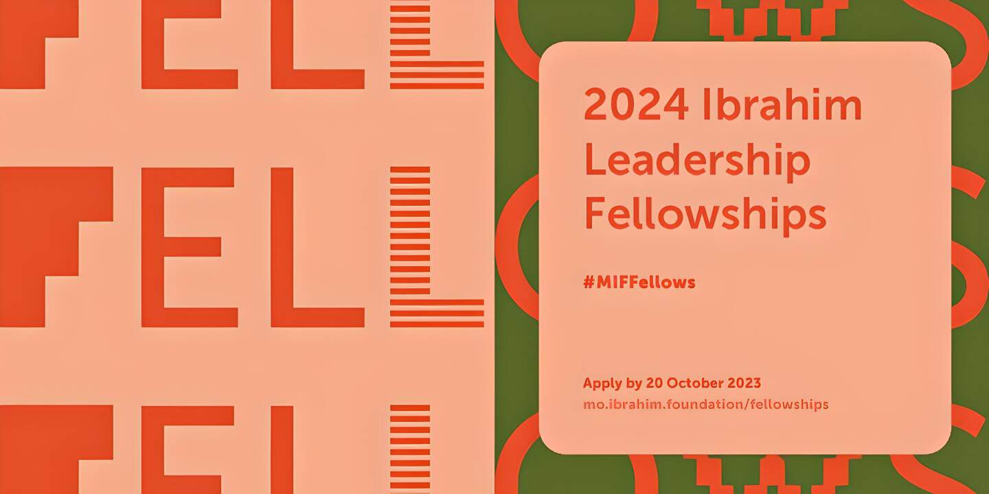 Mo Ibrahim Foundation Leadership Fellowship 2023 - AfDB