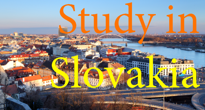 Slovak Government Scholarships for International Students, University Teachers, Researchers & Artists 2021