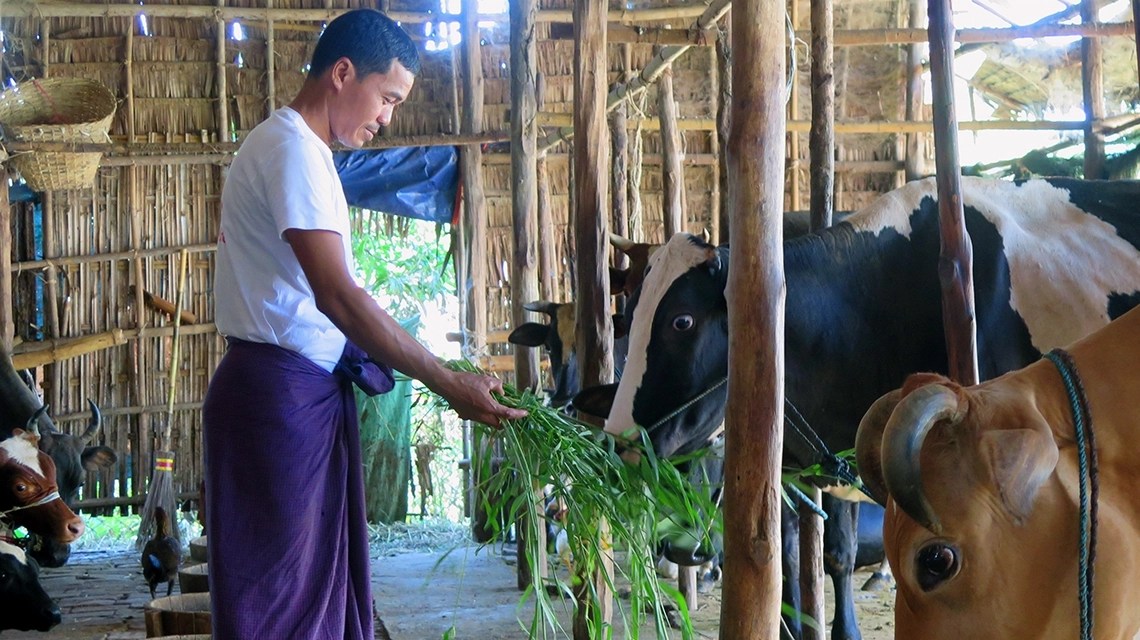 O’Level And UTME/DE Subjects Combination For Livestock Production Technology