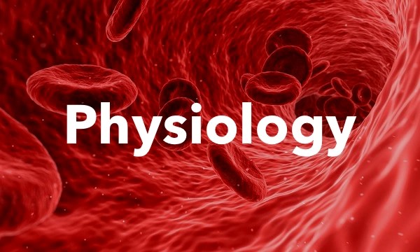 O’Level And UTME/DE Subjects Combination For Physiology