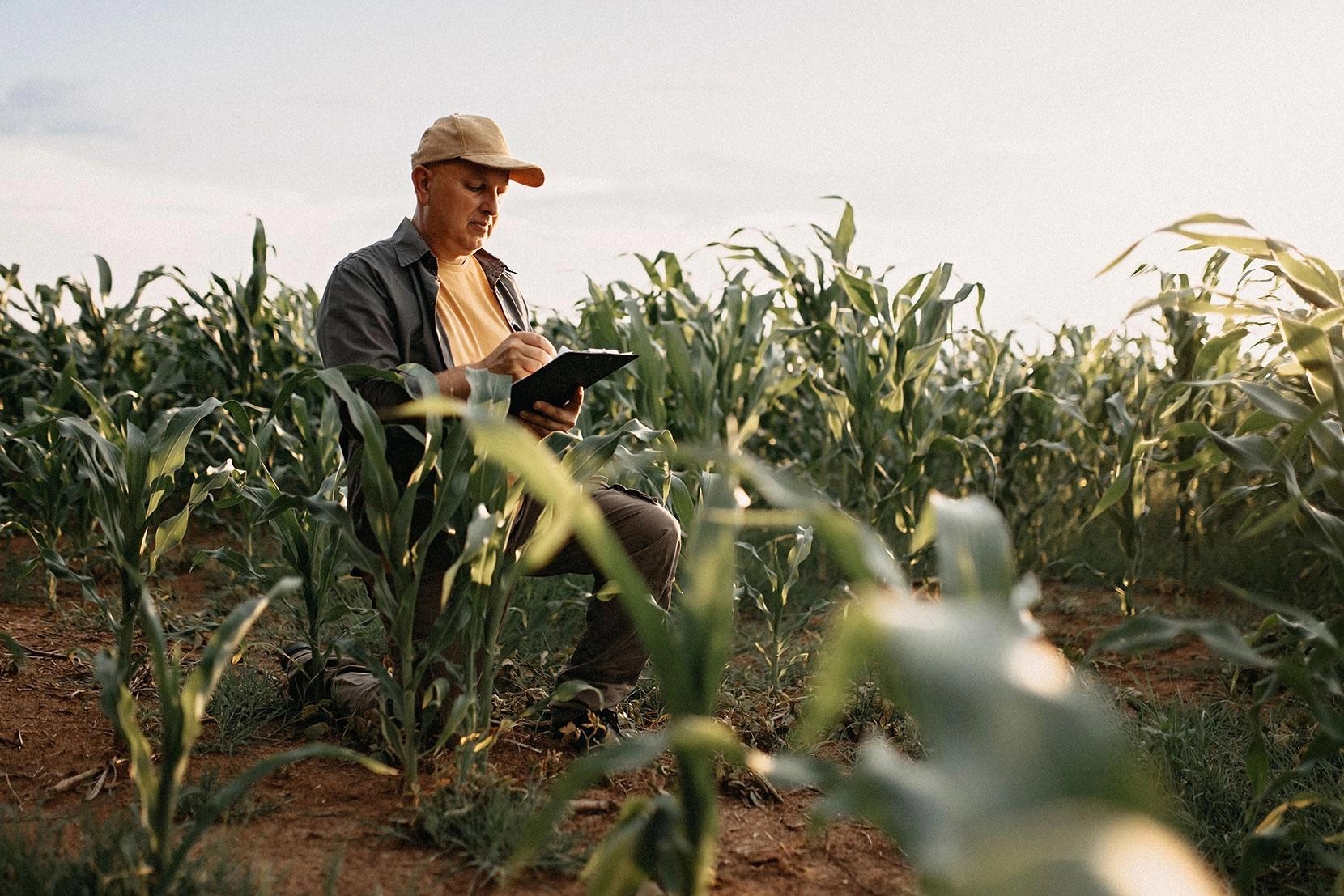 O’Level And UTME/DE Subjects Combination For Plant Science And Crop Production