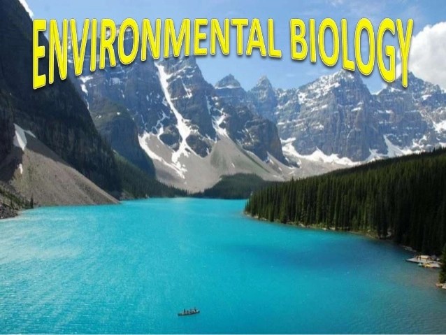 O’Level And UTME/DE Subjects Combination For Environmental Biology