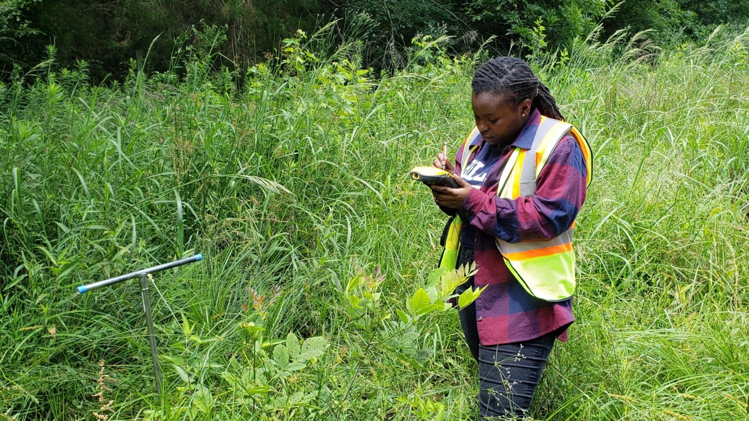 O’Level And UTME/DE Subjects Combination For Environmental Resources Management