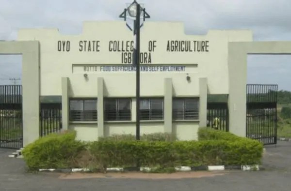 OYSCATECH School Fees For Fresh Students (ND/HND) 2024/2025 Academic Session