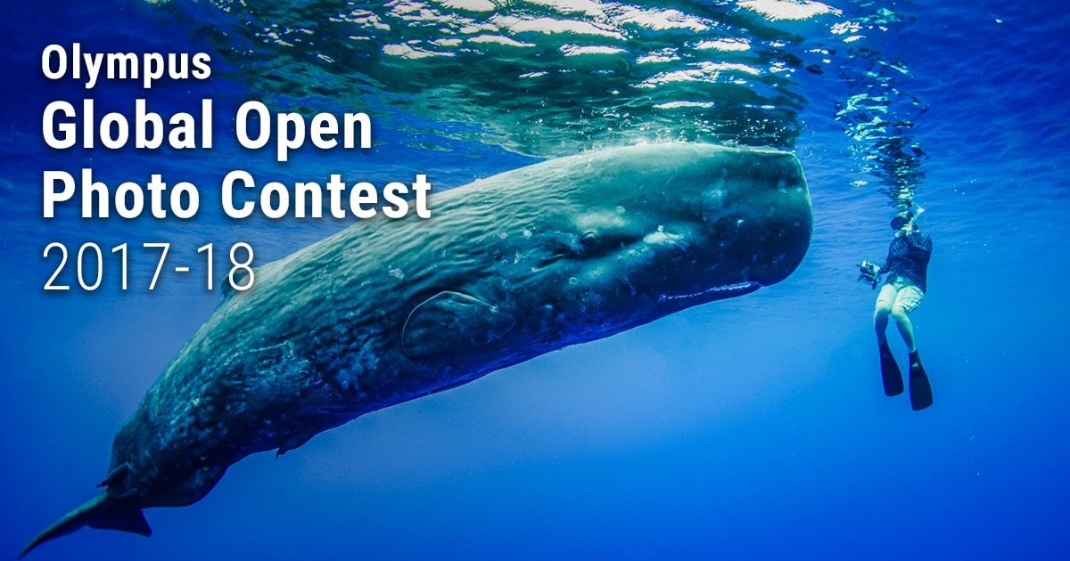 Olympus Global Open Photo Contest