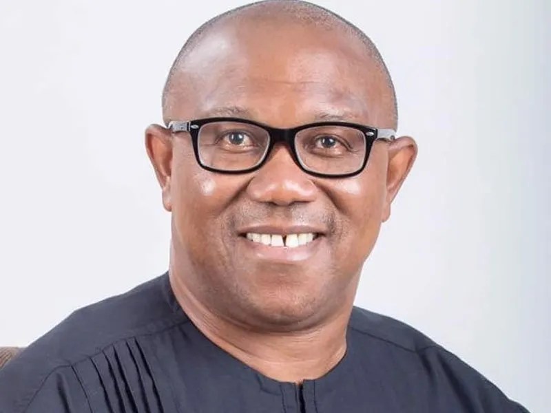 Peter Obi: Biography, Age, Running Mate, Companies And Net Worth 2024