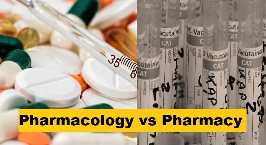Pharmacology Vs Pharmacy: Definition, Differences, Similarities, Career Path & Salary Scale