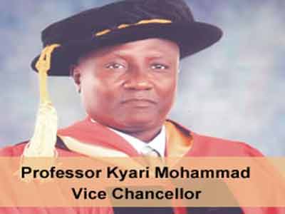 Nigerian Army University Biu (NAUB) Gets New VC