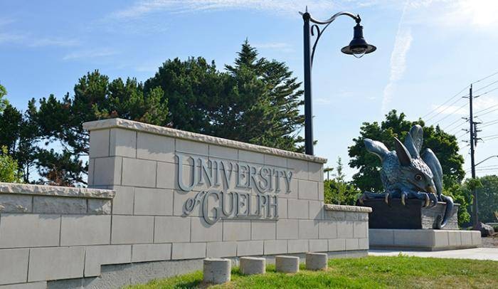 University Of Guelph International Tuition Scholarships, Canada - 2018