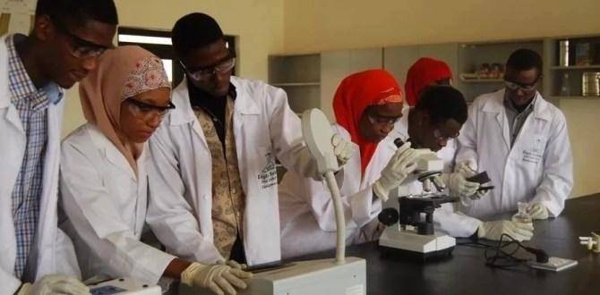 Herbal Medicine To Be Offered As A Course In Nigerian Universities