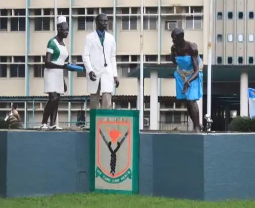 School Of Nursing (LUTH) Application Form 2024/2025: How To Apply And Gain Admission