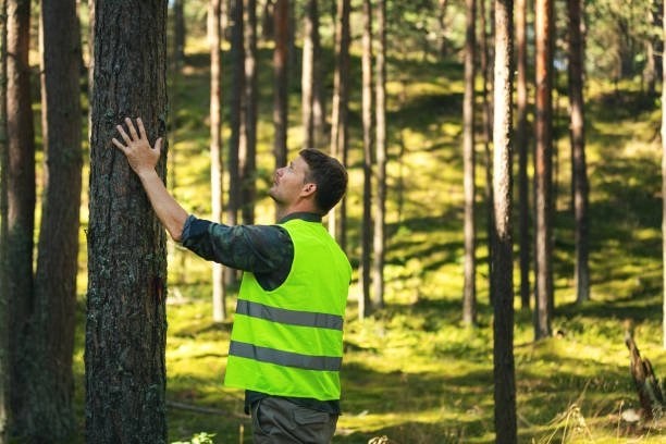 O'level And UTME/DE Subjects Combination For Forestry And Environmental Management