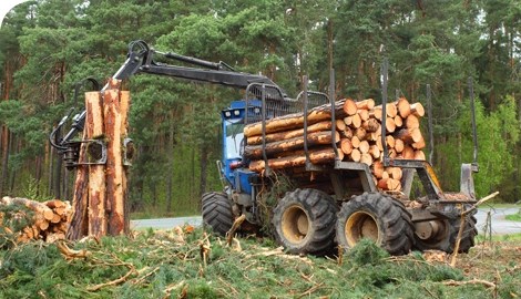 O'level And UTME/DE Subjects Combination For Forestry And Wood Technology