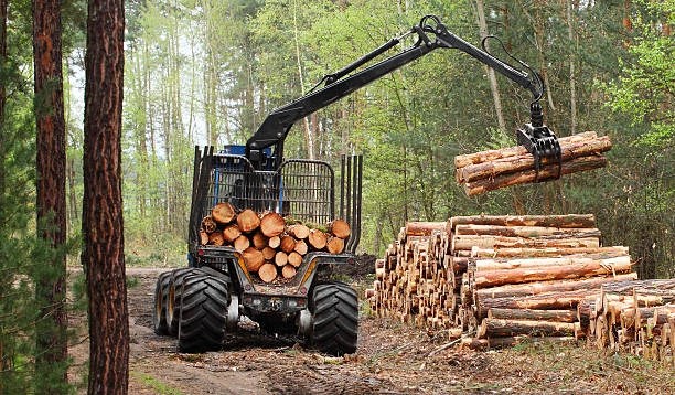 O'level And UTME/DE Subjects Combination For Forestry