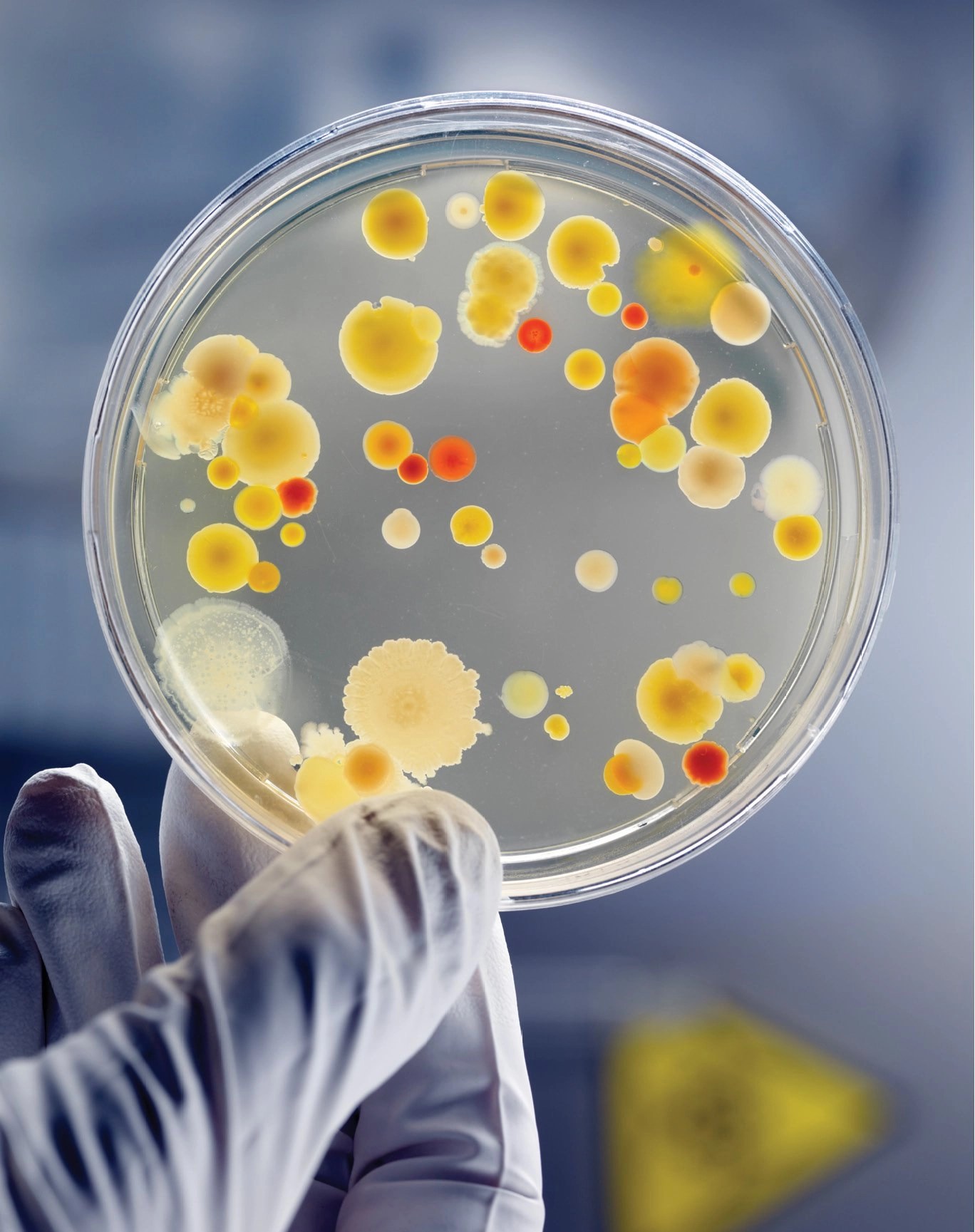 O'level And UTME/DE Subjects Combination For Microbiology