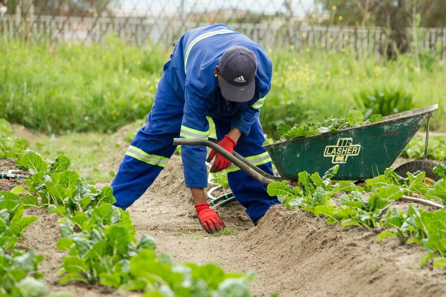 O'level And UTME/DE Subjects Combination For Soil Science And Technology