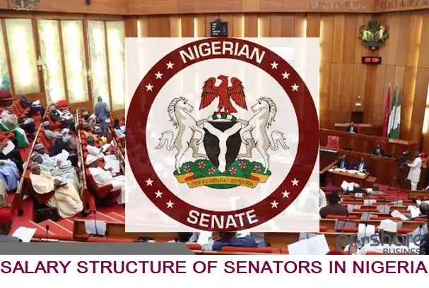 Nigerian Senators Salary Structure For January 2024: How Much Are Senators In Nigeria Paid?