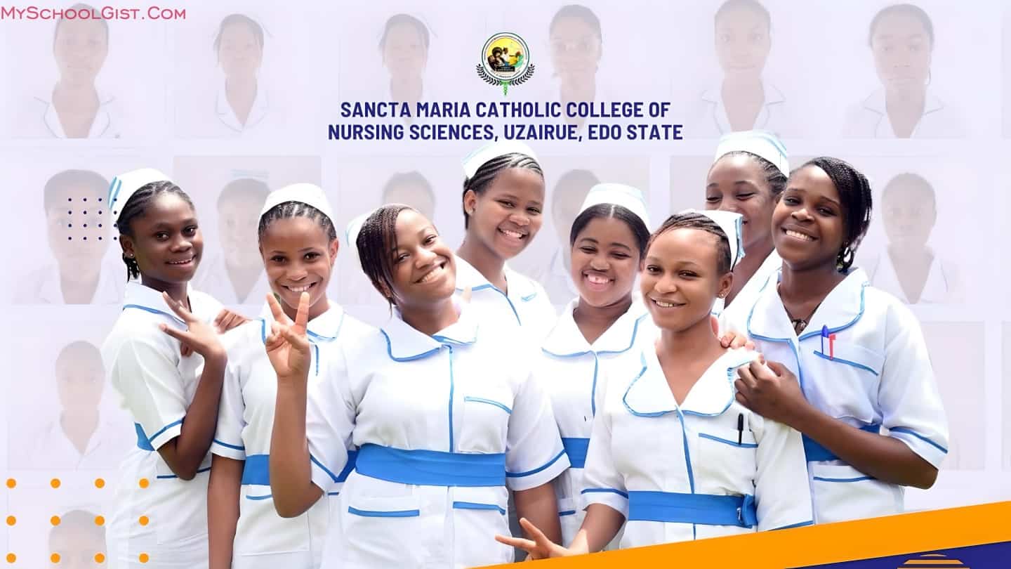 Mater Misericordiae Hospital Basic Midwifery Admission 2024