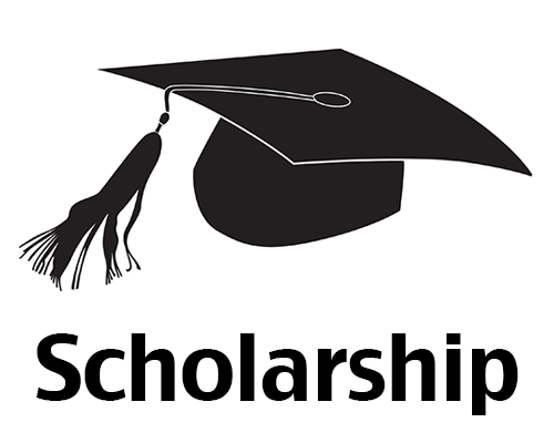 Gani Fawehinmi Scholarship Awards