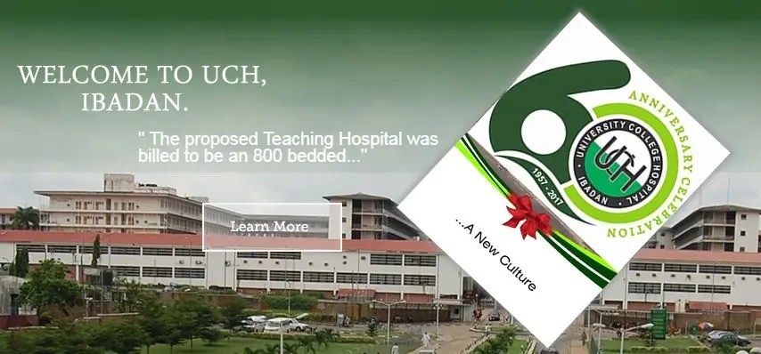 School Of Nursing UCH Ibadan Nursing Form 2024/2025 Session: How To Apply