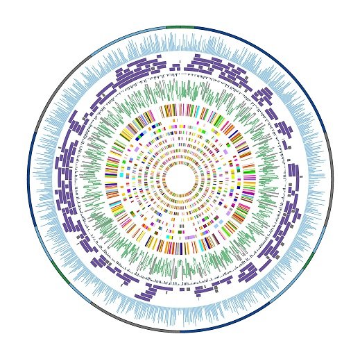 Smithsonian Institution SI Postdoctoral Fellowship in Biodiversity Genomics 