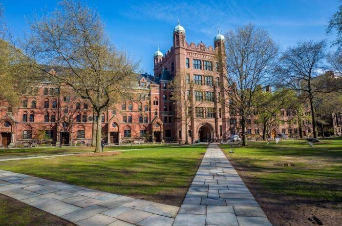 International Presidential Scholarships At University of New Haven - USA 2020