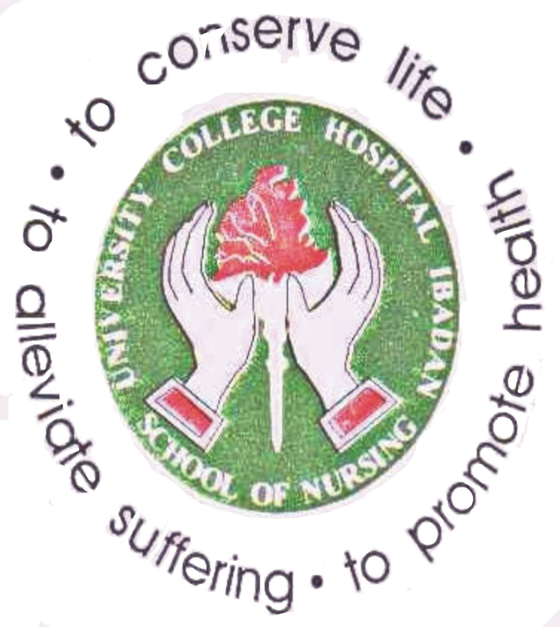 UCH, Ibadan Perioperative Nursing Course Admission Form 2018/2019