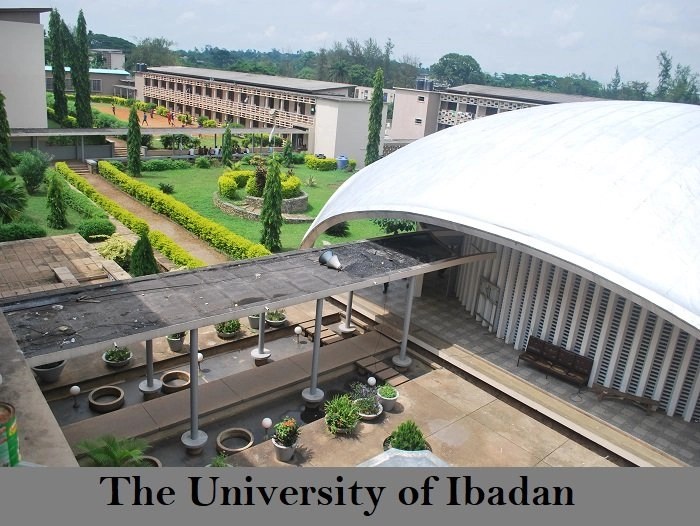 UI Postgraduate Admission List 2024/2025 Academic Session – How To Check