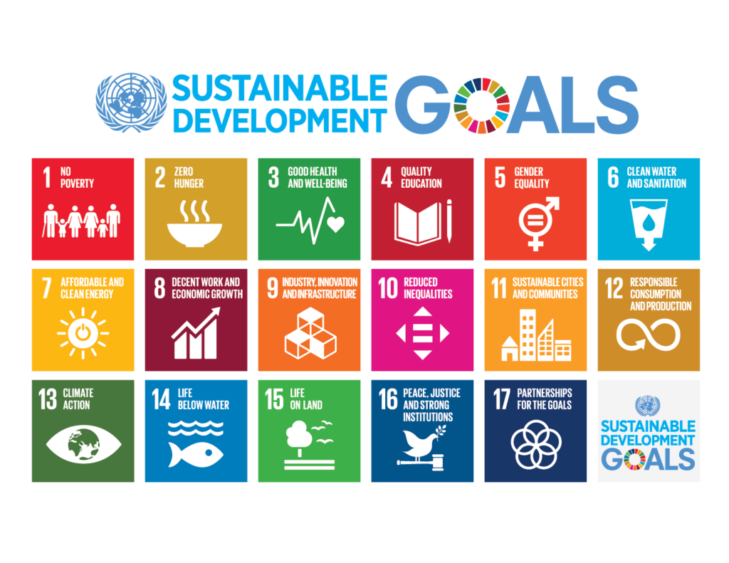 UN sustainable development goals