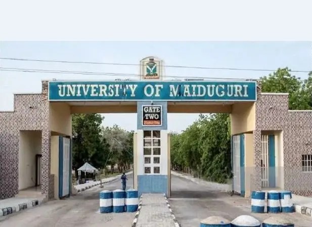 UNIMAID Admission List 2024/2025 Session: How To Check