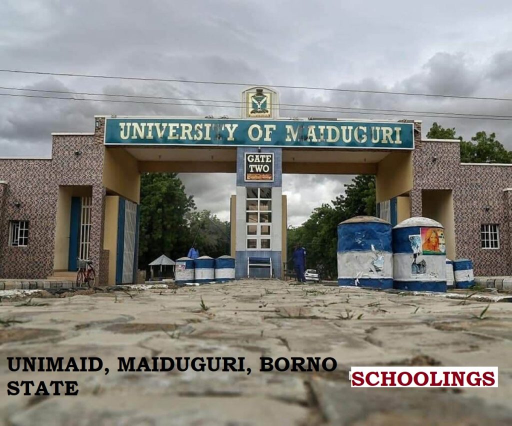 UNIMAID Post UTME Result yearnyear Session How To Check 1