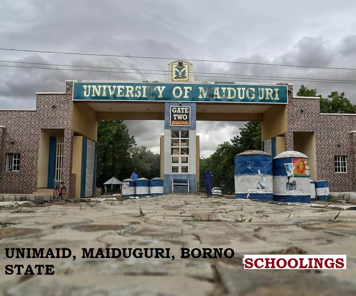 UNIMAID Post UTME Result 2024/2025 Session - How To Check