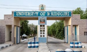 UNIMAID Predegree Admission List yearnyear Academic Session How To Check 1