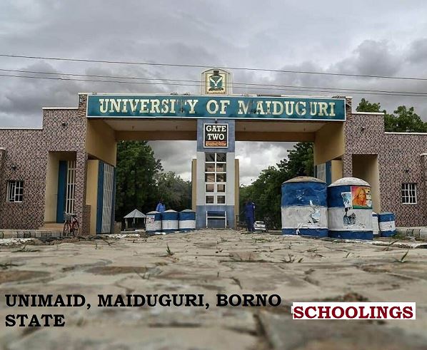 UNIMAID Postgraduate Admission Form 2024/2025 Session Out - How To Apply