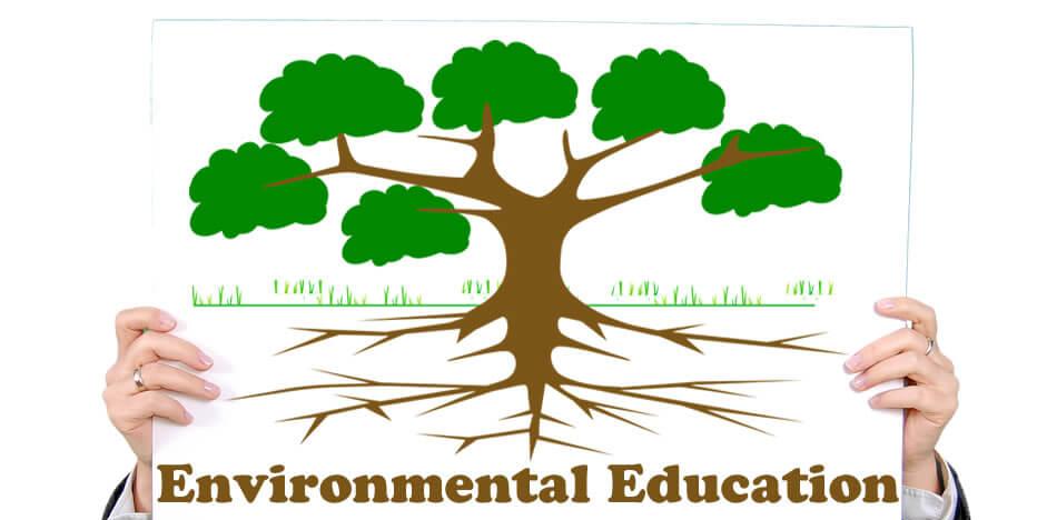 OLevel and UTME Subjects Combination for Studying Environmental Education