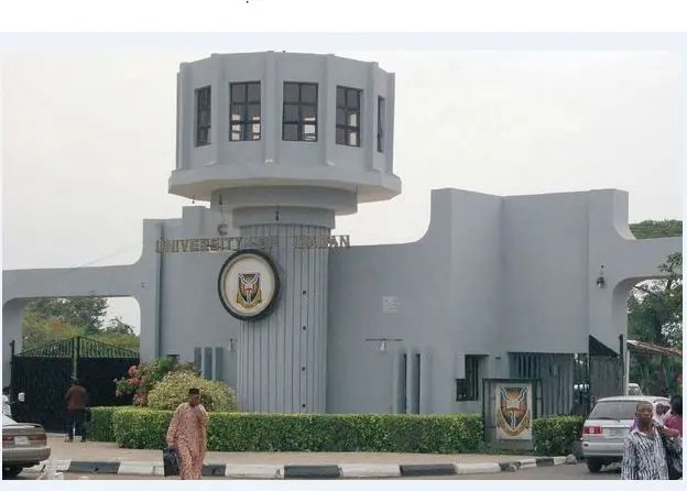 University Of Ibadan Postgraduate Programmes & Requirements 2024/2025 Session