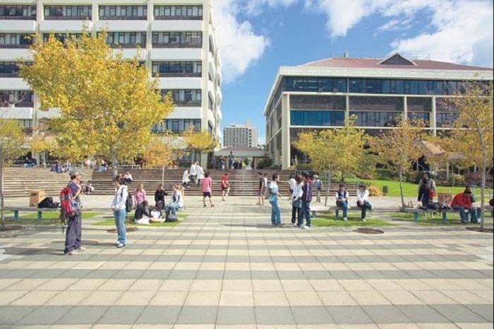 Covid-19 Relief Funding At Otago Polytechnic - New Zealand 2020