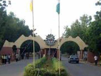 Modibbo Adama University Reportedly Sacks Two Lecturers For Sexual Harassment