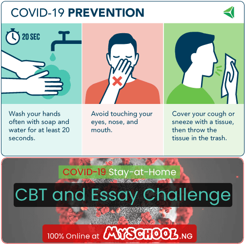 Winners: COVID-19 Stay-at-Home CBT and Essay Challenge