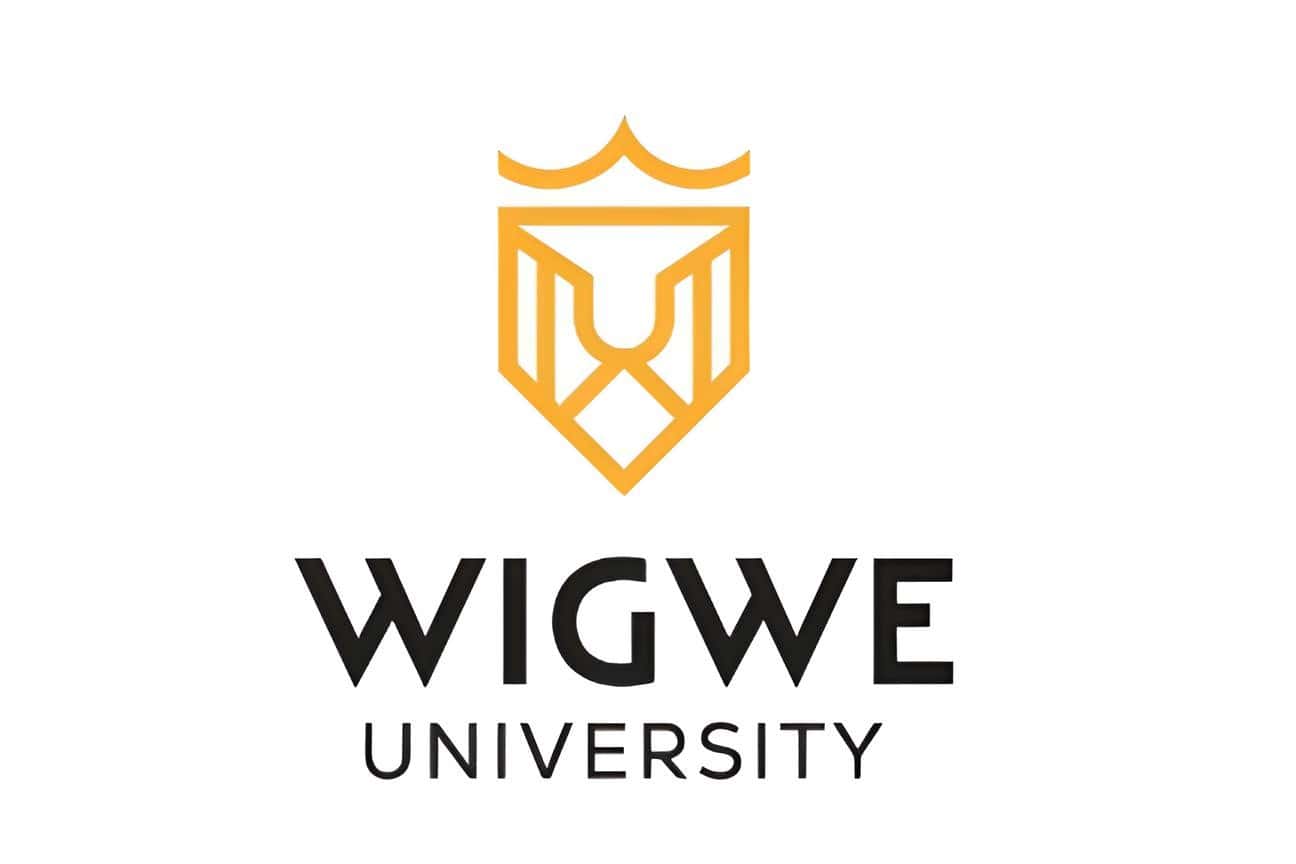 Wigwe University Debunks Issuing Admission Offers for 2023/2024