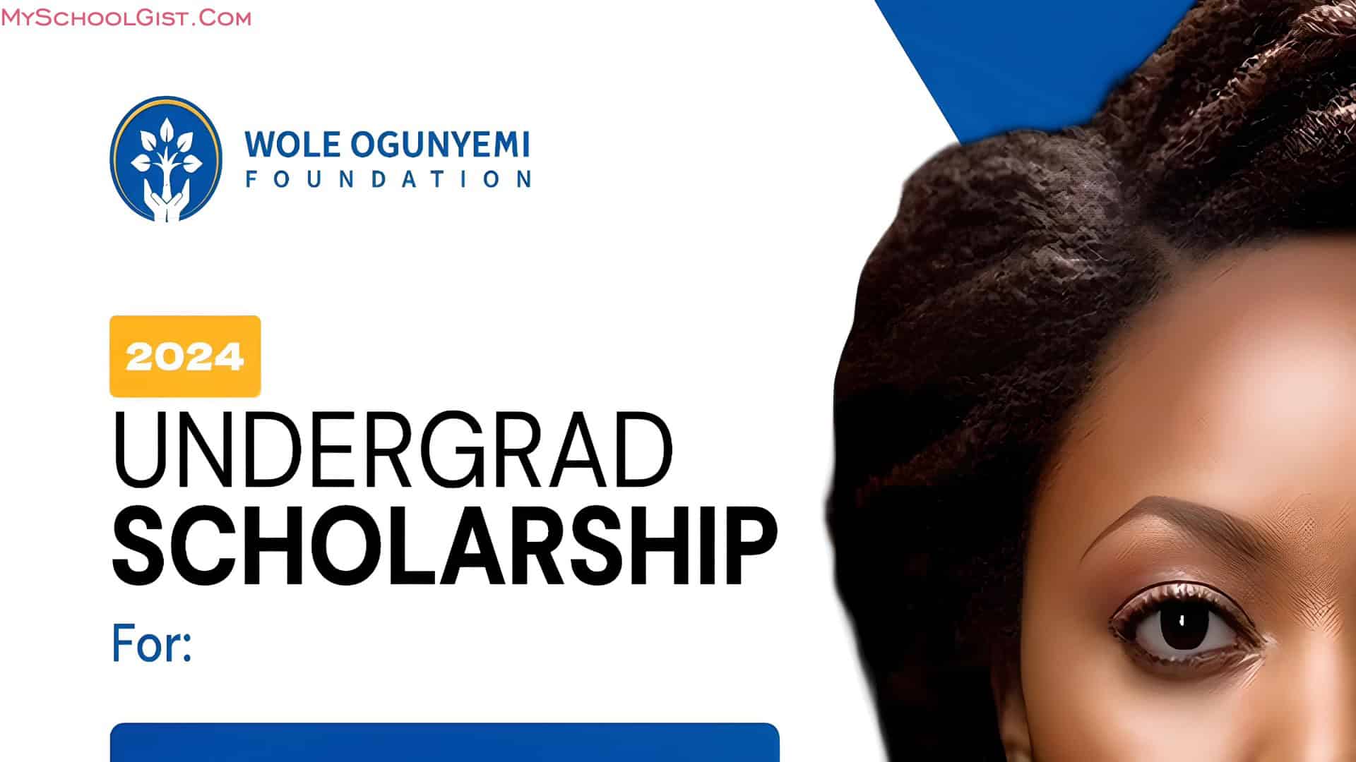 Apply for Wole Ogunyemi Scholarship 2024