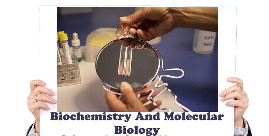 OLevel And UTME Subjects Combination for Studying Biochemistry and Molecular Biology in Nigeria