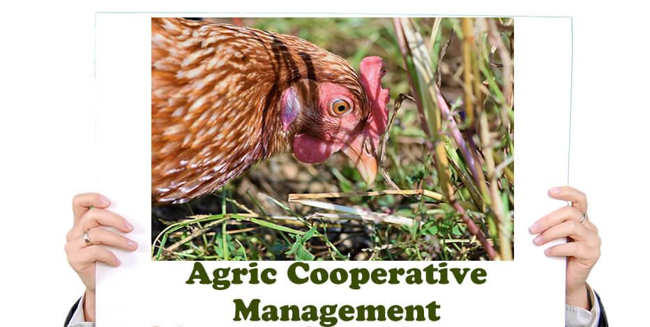 OLevel And JAMB Subject Combination for Studying Agric Cooperative Management