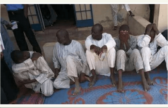 5 Teachers Sacked for Impregnating SS3 Student in Birnin  Kebbi