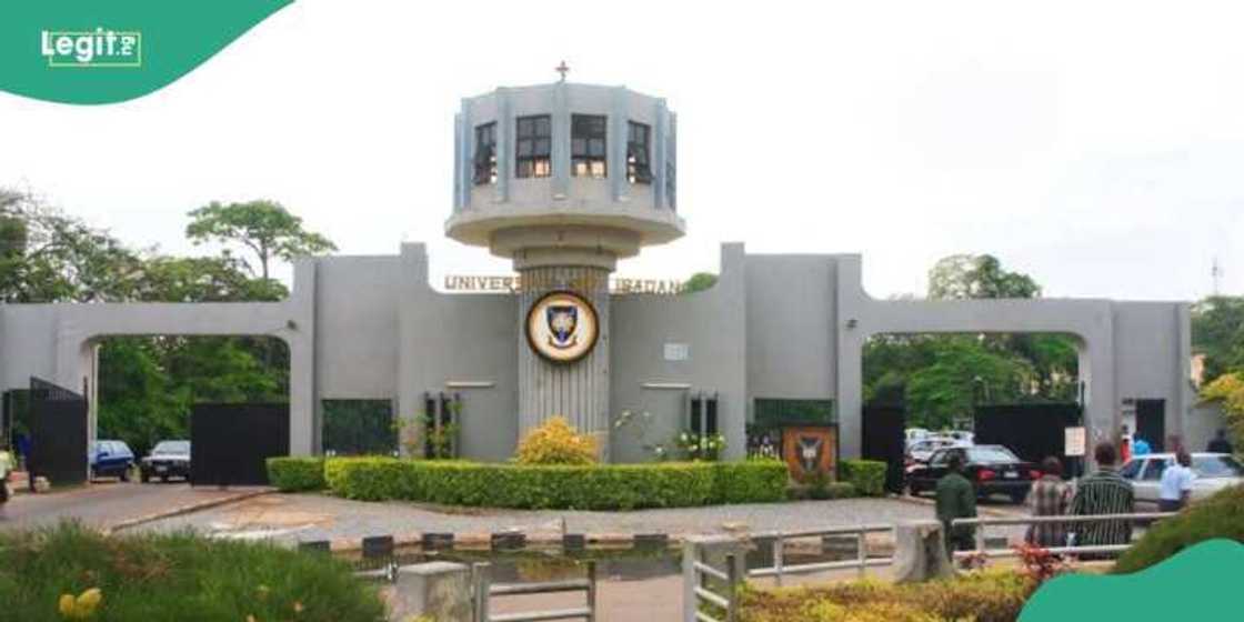 As deadline for school fees gets closer, UNIBADAN students find ways to avoid dropping out