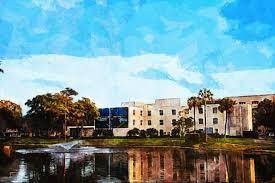 Merit International Scholarships At Lynn University, USA 2018