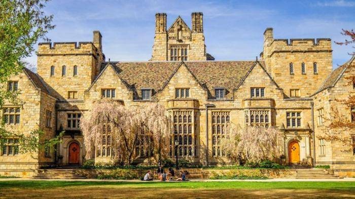 Yale Young Global Scholarships At Yale University - USA 2019