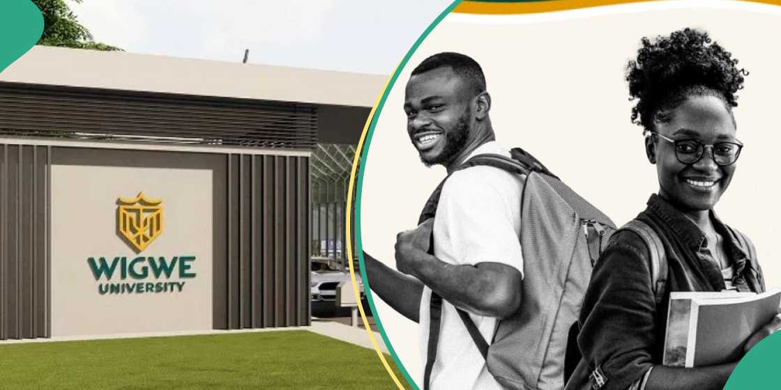 Apply now: Wigwe University announces scholarship opportunities for Nigerian students, share details