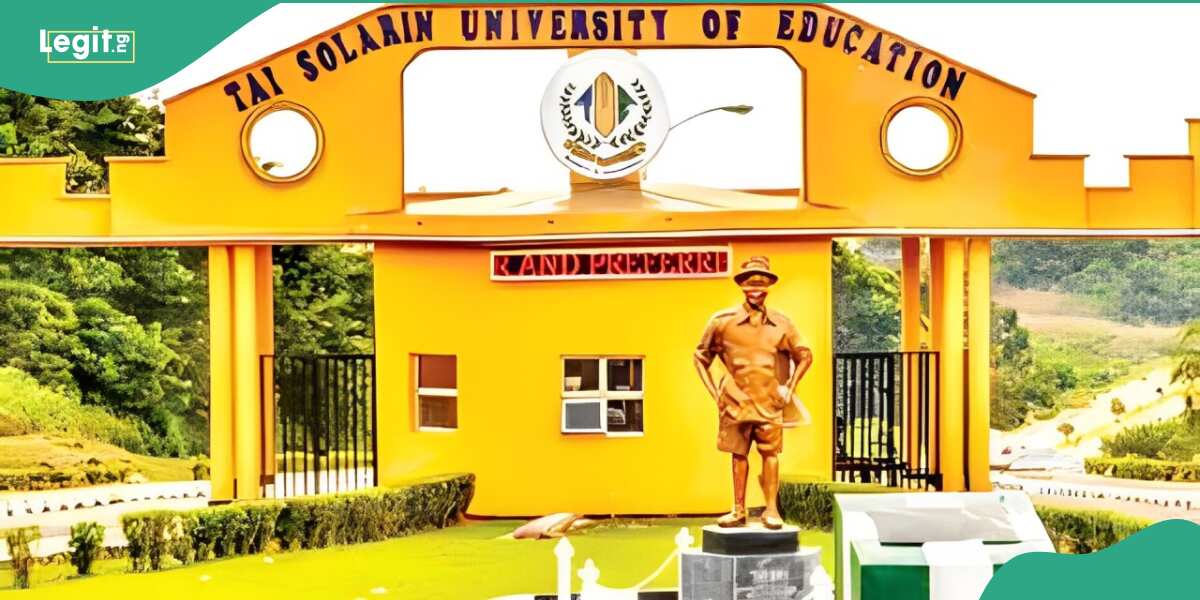 TASUED: Nigerian university postpones exams as suspected cultists murder 400-level student