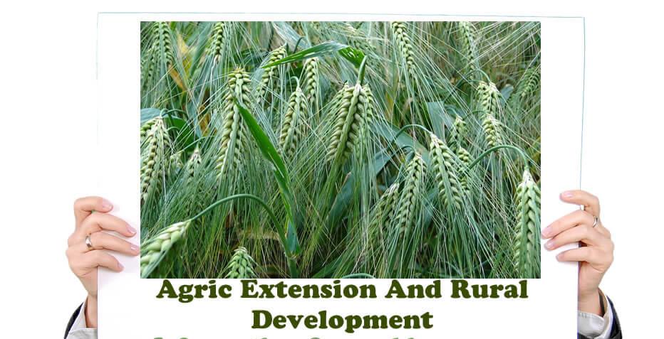 OLevel And JAMB Subject Combination for Studying Agric Extension and Rural Development